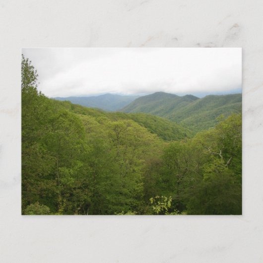 Blue Ridge Mountains, North Carolina Postkarte (Vorderseite)