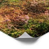 Blue Ridge Mountains Print Poster (Ecke)