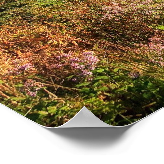 Blue Ridge Mountains Print Poster (Ecke)