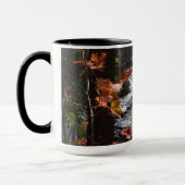 Blue Ridge Mountains Triple Falls NC Fotografy Tasse (Links)