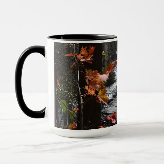 Blue Ridge Mountains Triple Falls NC Fotografy Tasse (Links)