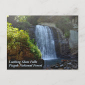 Blue Ridge Mountains Wasserfall Looking Glass Fall Postkarte (Vorderseite)