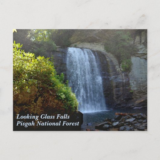 Blue Ridge Mountains Wasserfall Looking Glass Fall Postkarte (Vorderseite)
