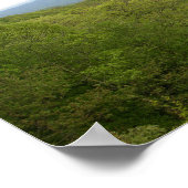 Blue Ridge Mtnts aus Blue Ridge Parkway, NC Poster (Ecke)