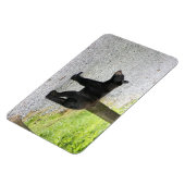 Blue Ridge Parkway - Bär 3 Magnet (Linke Seite)