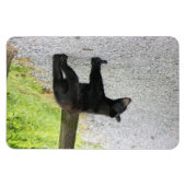 Blue Ridge Parkway - Bär 3 Magnet (Horizontal)
