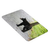 Blue Ridge Parkway - Bär 3 Magnet (Rechte Seite)