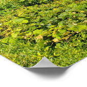 Blue Ridge Parkway Clouds Poster (Ecke)