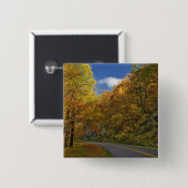 Blue Ridge Parkway, der durch Herbstfarben kurbelt Button (Vorne & Hinten)