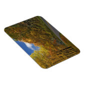 Blue Ridge Parkway, der durch Herbstfarben kurbelt Magnet (Rechte Seite)