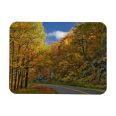 Blue Ridge Parkway, der durch Herbstfarben kurbelt Magnet (Horizontal)