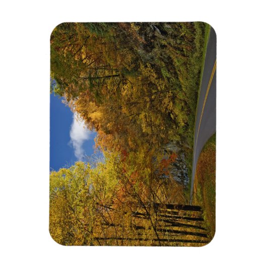 Blue Ridge Parkway, der durch Herbstfarben kurbelt Magnet (Vertikal)