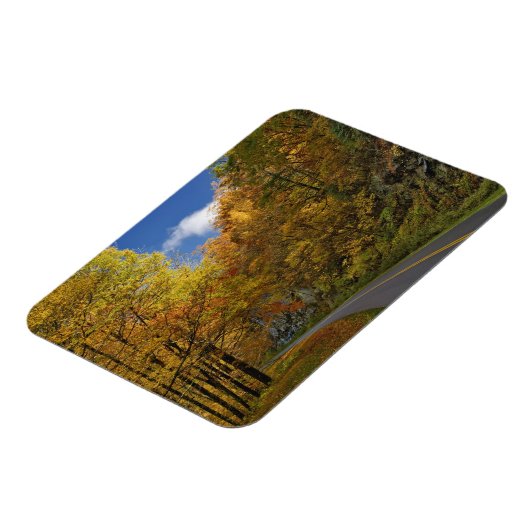 Blue Ridge Parkway, der durch Herbstfarben kurbelt Magnet (Linke Seite)