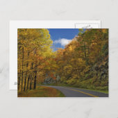 Blue Ridge Parkway, der durch Herbstfarben kurbelt Postkarte (Vorne/Hinten)