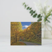 Blue Ridge Parkway, der durch Herbstfarben kurbelt Postkarte (Stehend Vorderseite)