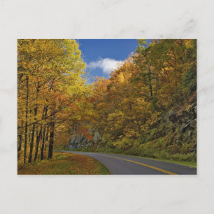 Blue Ridge Parkway, der durch Herbstfarben kurbelt Postkarte
