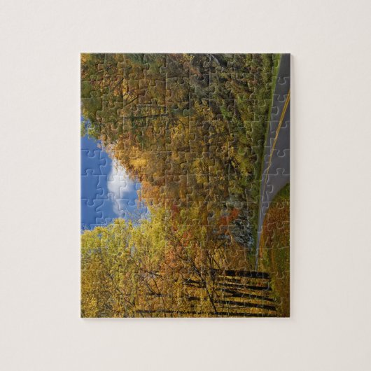 Blue Ridge Parkway, der durch Herbstfarben kurbelt Puzzle (Vertikal)