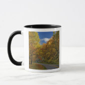 Blue Ridge Parkway, der durch Herbstfarben kurbelt Tasse (Links)