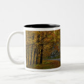 Blue Ridge Parkway, der durch Herbstfarben kurbelt Zweifarbige Tasse (Links)