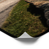 Blue Ridge Parkway HDR. Poster (Ecke)