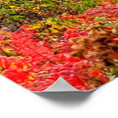 Blue Ridge Parkway Herbst Blick auf Pilotenberg Poster (Ecke)