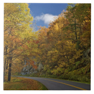Blue Ridge Parkway in Kurven durch die Herbstfarbe Fliese