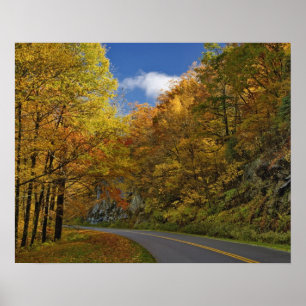 Blue Ridge Parkway in Kurven durch die Herbstfarbe Poster