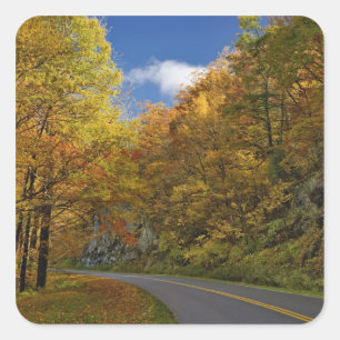 Blue Ridge Parkway in Kurven durch die Herbstfarbe Quadratischer Aufkleber