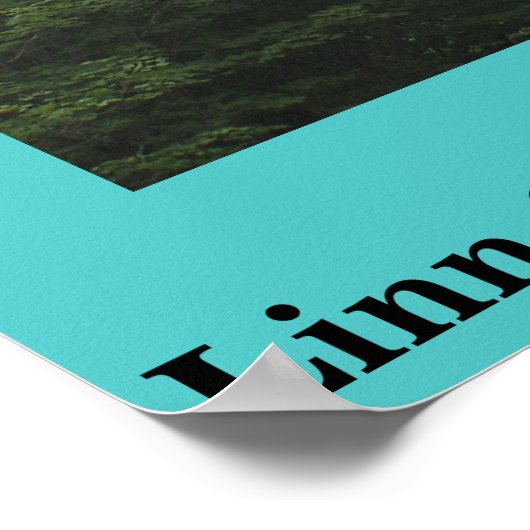 Blue Ridge Parkway Linn Cove Viadukt Poster (Ecke)