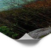 Blue Ridge Parkway Scene 1 Poster (Ecke)