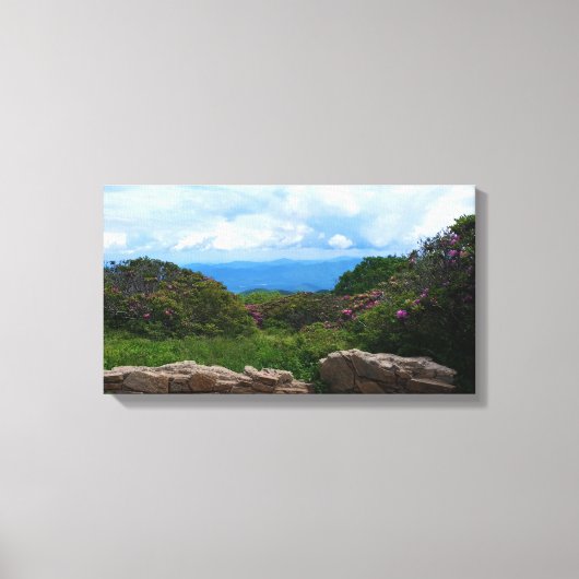 Blue Ridge Spring Canvas Print Leinwanddruck (Vorderseite)