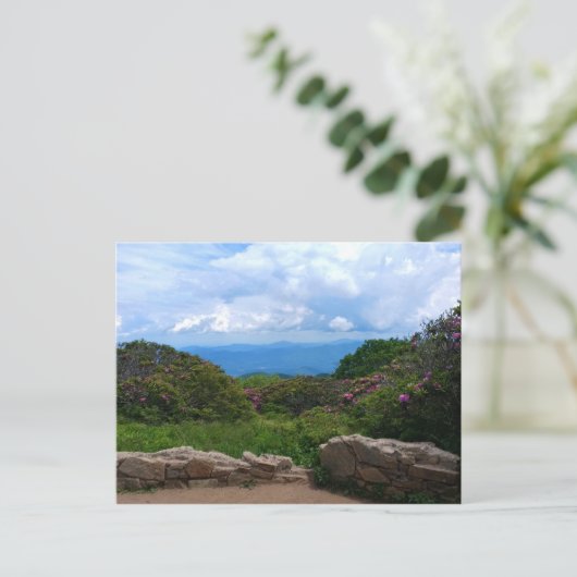 Blue Ridge Spring Postcard Postkarte (Stehend Vorderseite)
