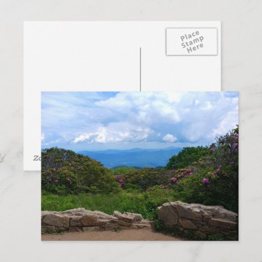 Blue Ridge Spring Postcard Postkarte (Vorne/Hinten)