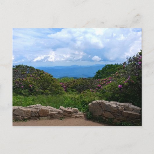 Blue Ridge Spring Postcard Postkarte (Vorderseite)