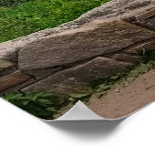 Blue Ridge Spring Print Poster (Ecke)