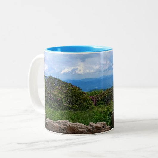 Blue Ridge Spring Tasse (Vorderseite Links)