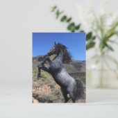 Blue Roan Horse in der Wüste Postkarte züchten (Stehend Vorderseite)