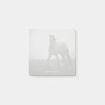 Blue Roan Mist - 3" x 3" Notizen