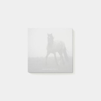 Blue Roan Mist - 3" x 3" Notizen