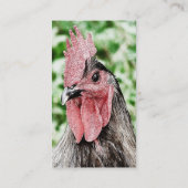 Blue Rooster Digital Art Visitenkarte (Rückseite)