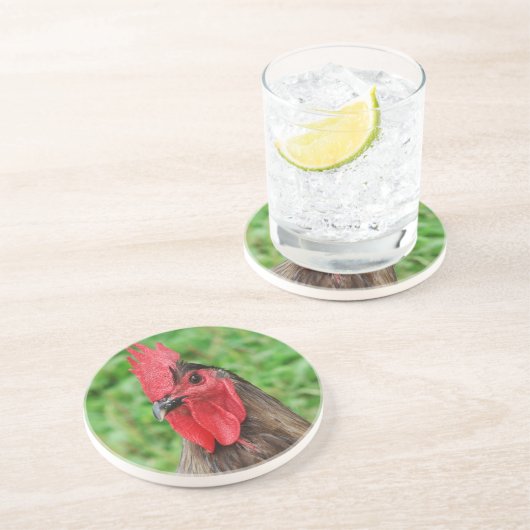 Blue Rooster Sandstein Untersetzer (Seite)