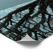 Blue Roots Lights Poster (Ecke)