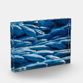 Blue Rope Fotoblock (Links)