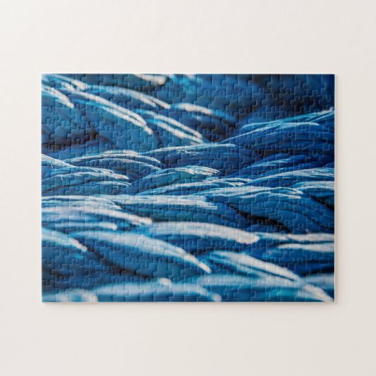 Blue Rope Puzzle (Horizontal)