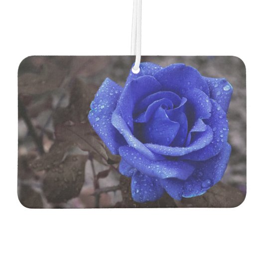 Blue Rose Air Freshener Autolufterfrischer (Rückseite)