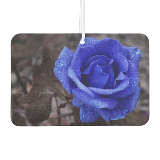 Blue Rose Air Freshener Autolufterfrischer (Vorderseite)