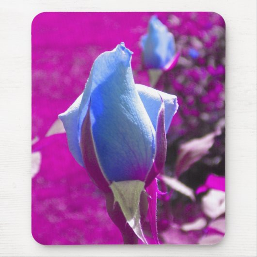 Blue Rose Bud Mouse Pad Mousepad (Vorne)