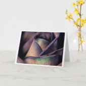 Blue Rose Close up Karte (Gelbe Blume)