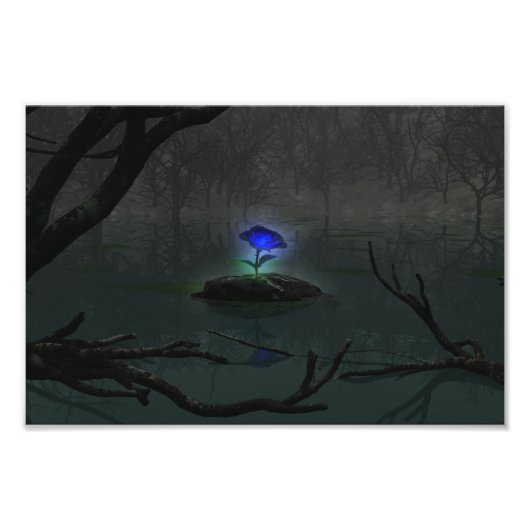 Blue Rose Foto Print (Vorne)