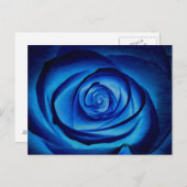Blue Rose Postcard Postkarte (Vorne/Hinten)